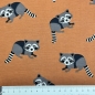 Preview: Jersey | Raccoon | Waschbär dark apricot
